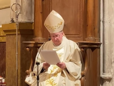 Homilía del Sr. Obispo en el Domingo XV del tiempo ordinario
