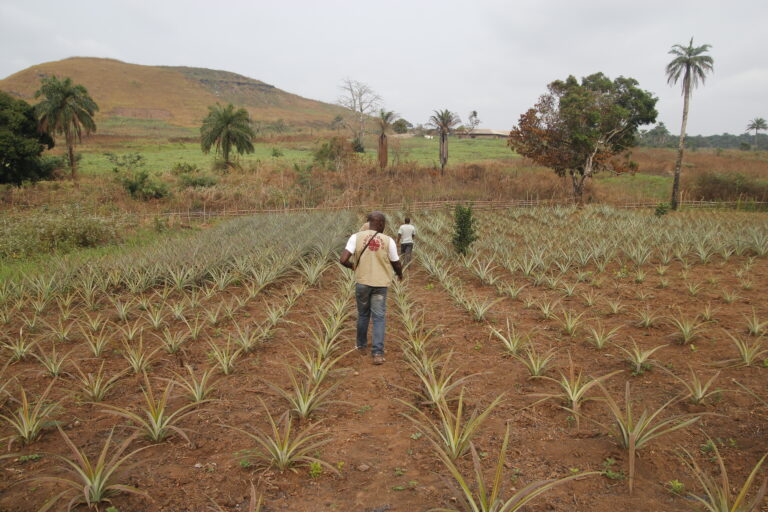 Campaña de recogida de fondos para la adquisición de un tractor en el Congo-Brazzaville